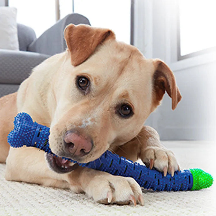 Blue Green Pet Molar Tooth Cleaner for dogs with serrated brush head and nodules, 25cm long