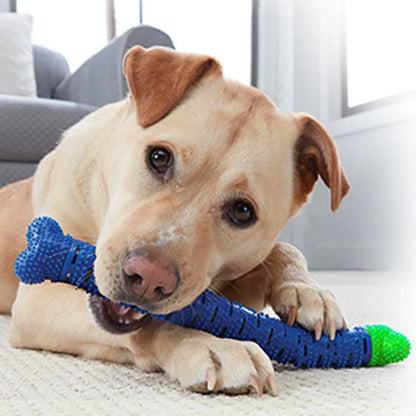 Blue Green Pet Molar Tooth Cleaner for dogs with serrated brush head and nodules, 25cm long