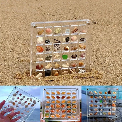 Acrylic magnetic seashell and jewelry organizer box with 36 or 64 grids for versatile storage