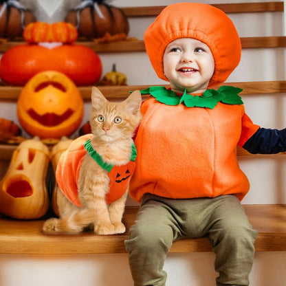 Orange pumpkin plush Halloween costume for a small dog showing pullover design and soft texture.