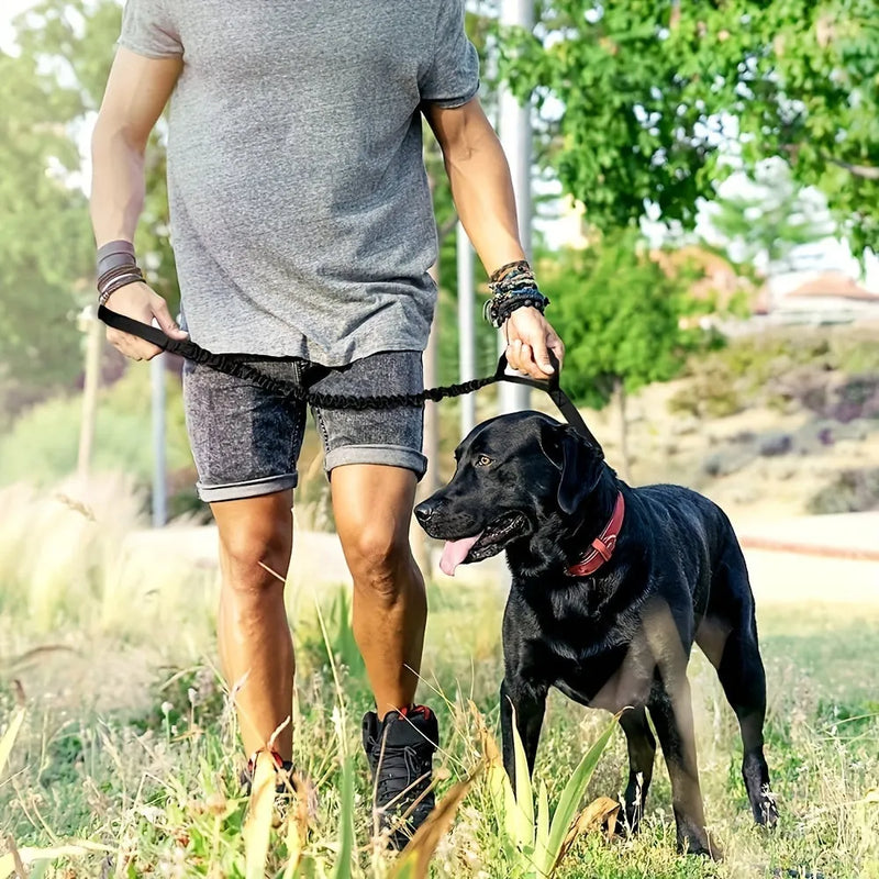 Retractable leash for large dogs with durable nylon webbing and anti-burst technology for added safety and control, featuring a comfortable ergonomic handle and brake lock in black, green, khaki, or mixed colour options.