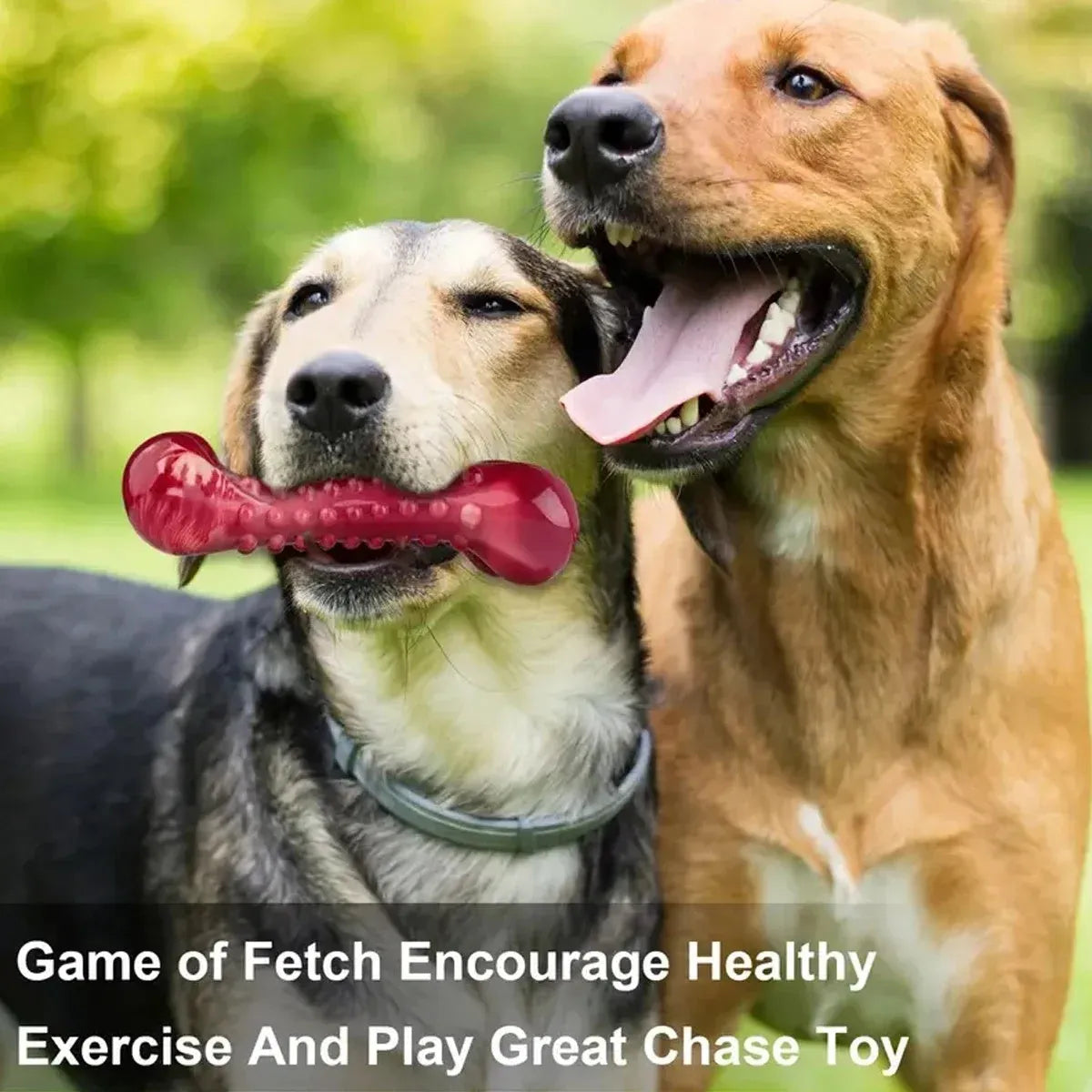 Natural rubber dog chew toy for aggressive chewers with chew bone design