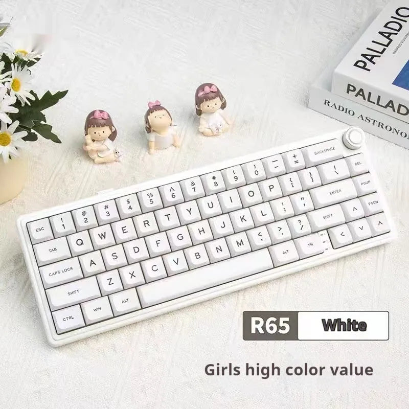 Wireless mechanical keyboard with RGB lighting in multiple colour options