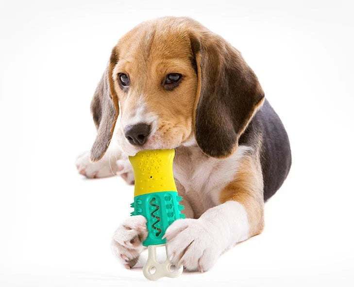 Refreshing chew toy for dogs with frozen water, textured surface, and durable design for cooling, dental care, and entertainment