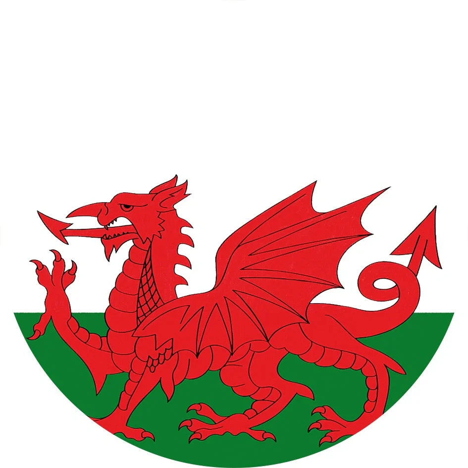 World Cup Qatar football themed biodegradable dishwashing sponges with national flag designs