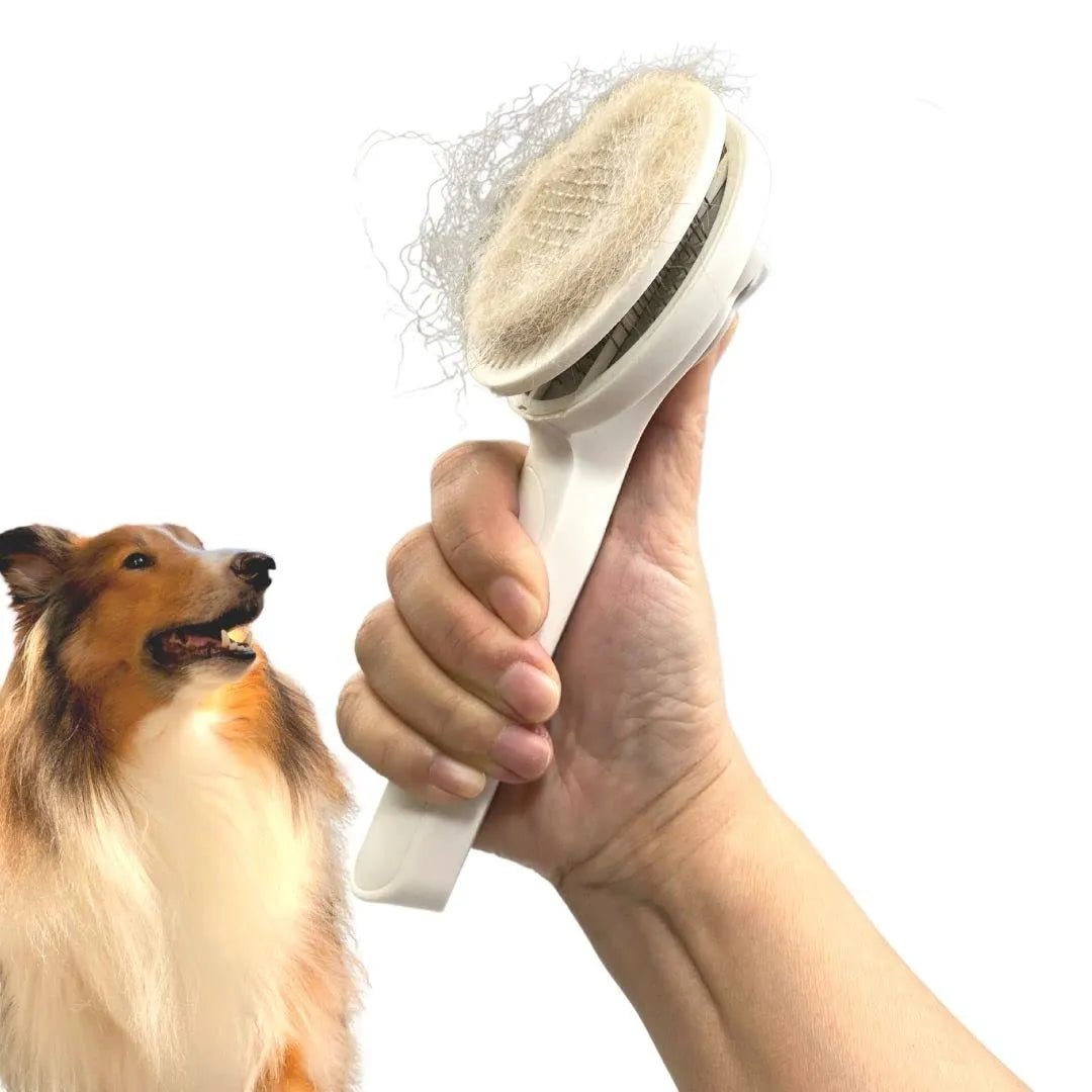 Blue self-cleaning pet grooming brush with stainless steel pins and ergonomic rubber handle on a grey background