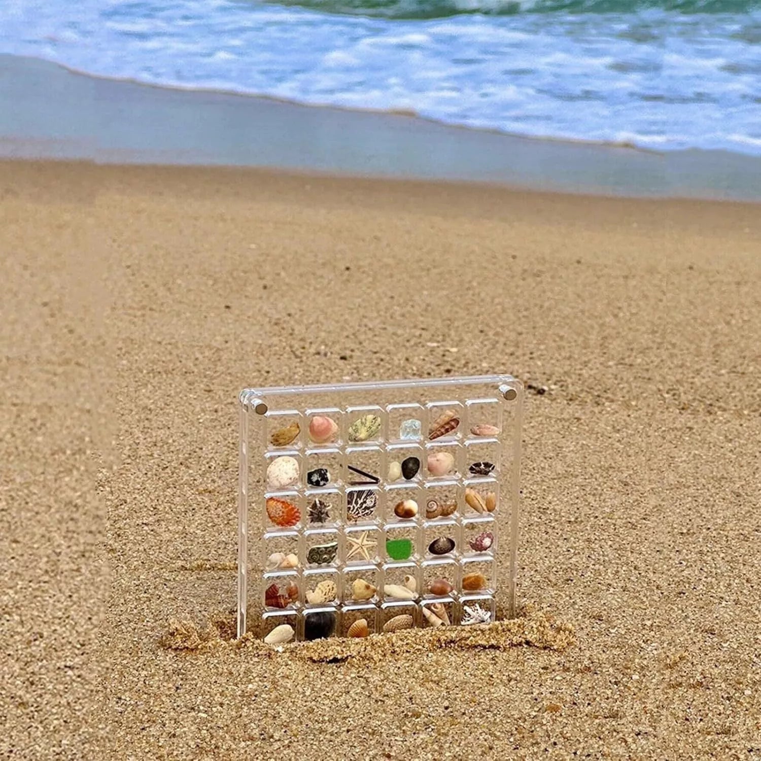 Acrylic magnetic seashell and jewelry organizer box with 36 or 64 grids for versatile storage