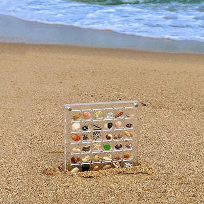 Acrylic magnetic seashell and jewelry organizer box with 36 or 64 grids for versatile storage