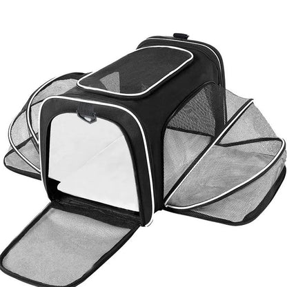 Black cat carrier bag made from 600D cation fabric with red piping trim.