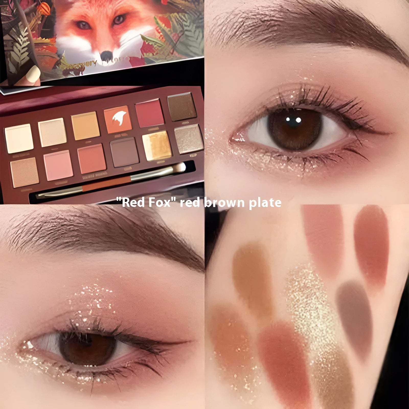 Explorer Twelve-colour Animal Eye Shadow Plate showing 12 pressed powder shades in a compact