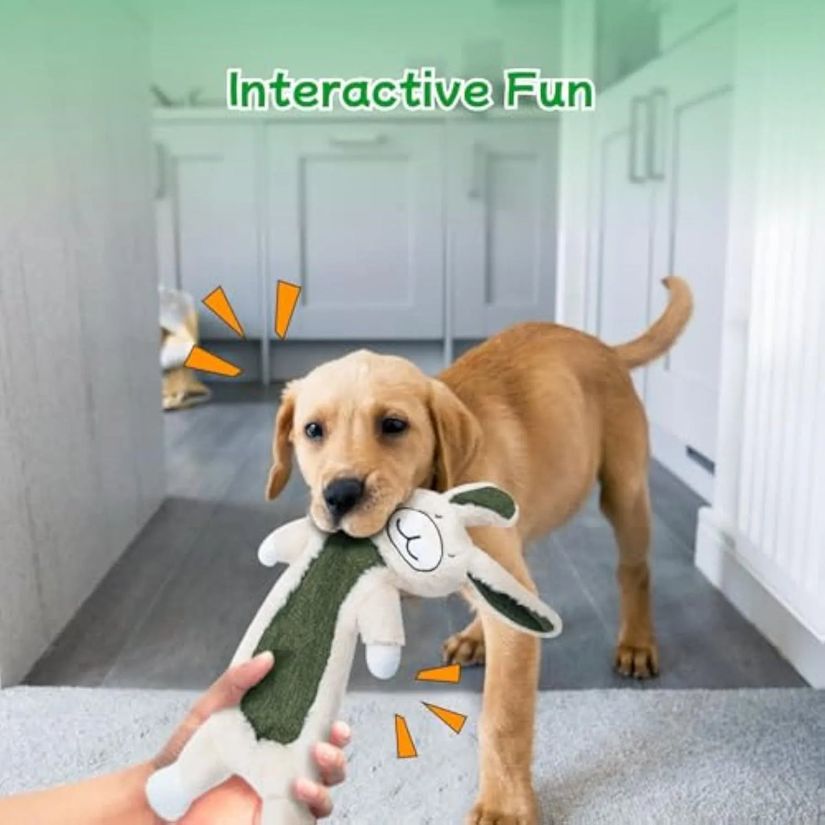 No stuffing crinkle dog toys showing rabbit and sloth plush designs for interactive canine play