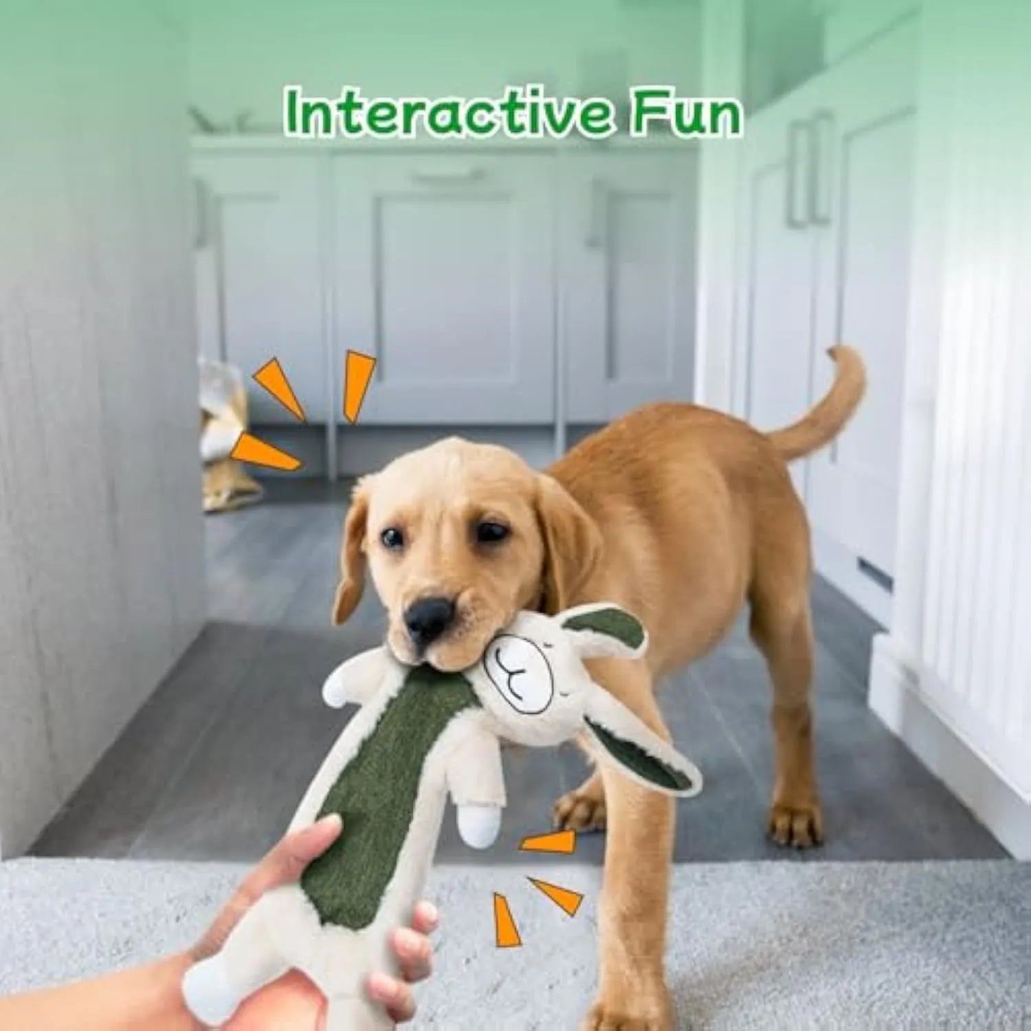 No stuffing crinkle dog toys showing rabbit and sloth plush designs for interactive canine play