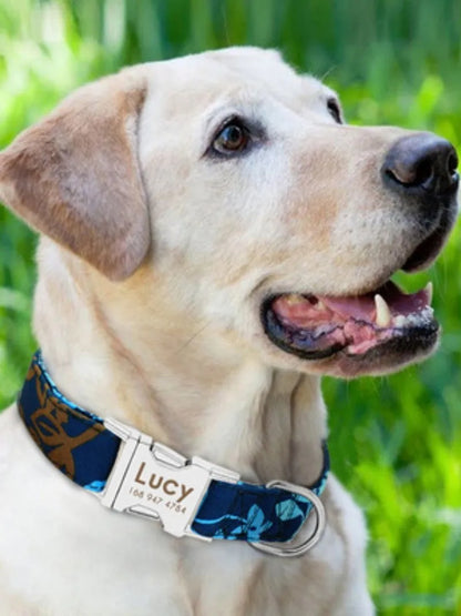 An adjustable nylon dog collar with a metal buckle, shown in black, green, and rose red colours.