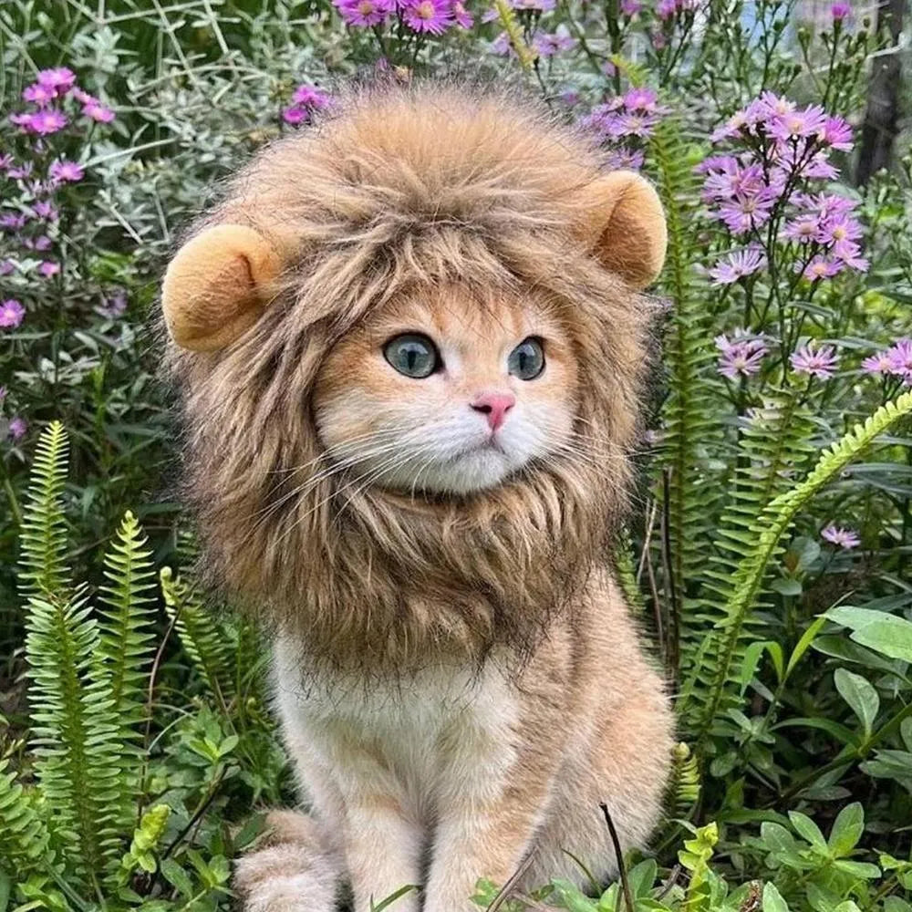 Lion mane costume wig for a cat or small dog on a white background, showing fluffy artificial hair and adjustable straps.