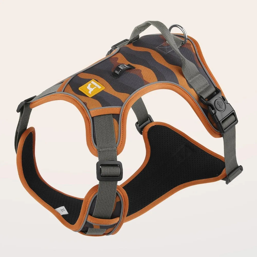 Orange dog harness with reflective strips and hand holding rope on a grassy background