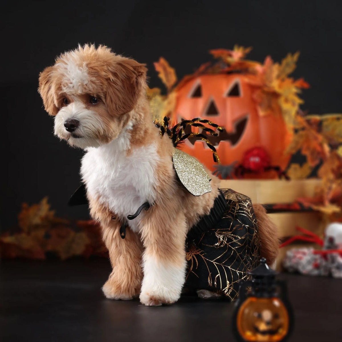 Halloween dog costume suit in polyester fabric, sizes S to XL, for unisex pets