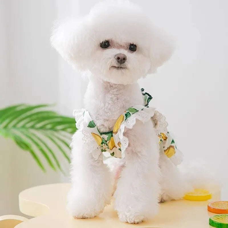 Rock yellow lemon coloured dog dress with strap skirt design and princess styling