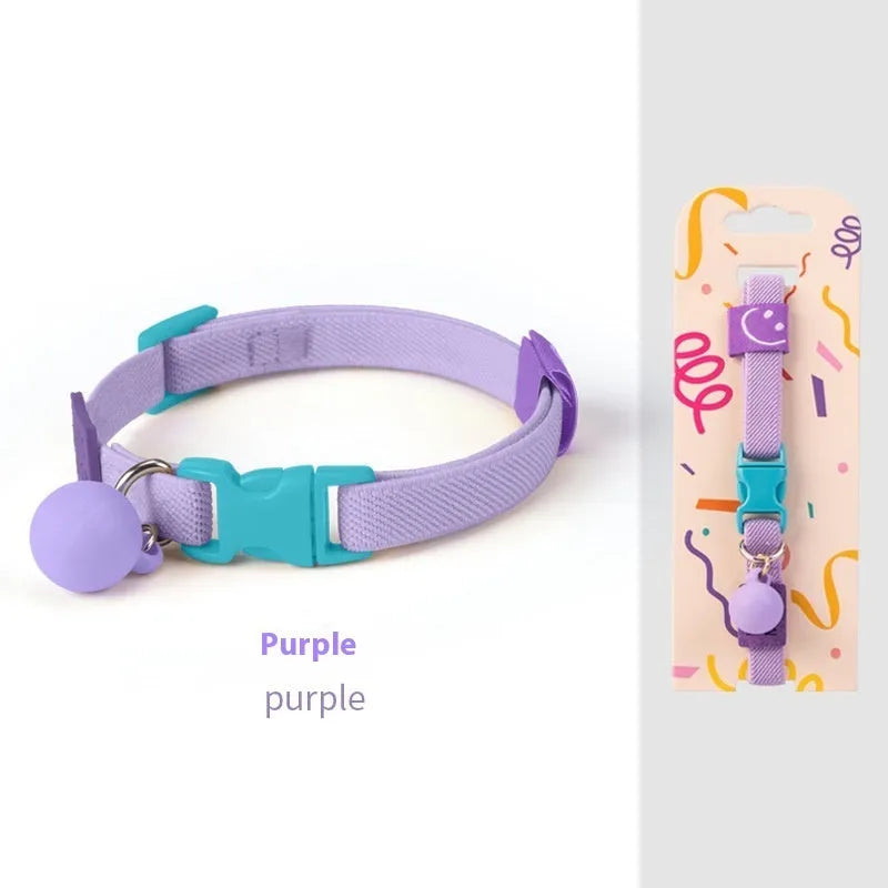 Small dog wearing elastic polyester collar in sky blue colour, showing stretch fit around neck