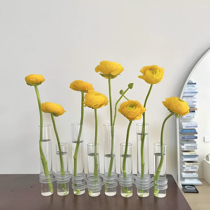 Clear glass hinged test tube vase with plants in curved arrangement