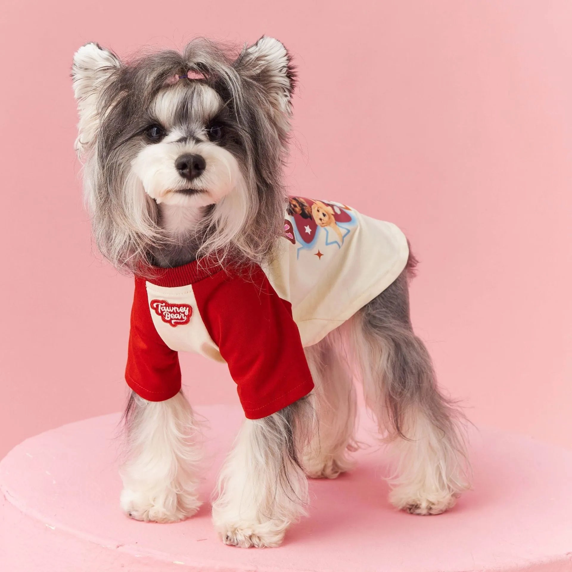 Cotton dog summer clothes with contrasting colour panels in embroidered red or pink options