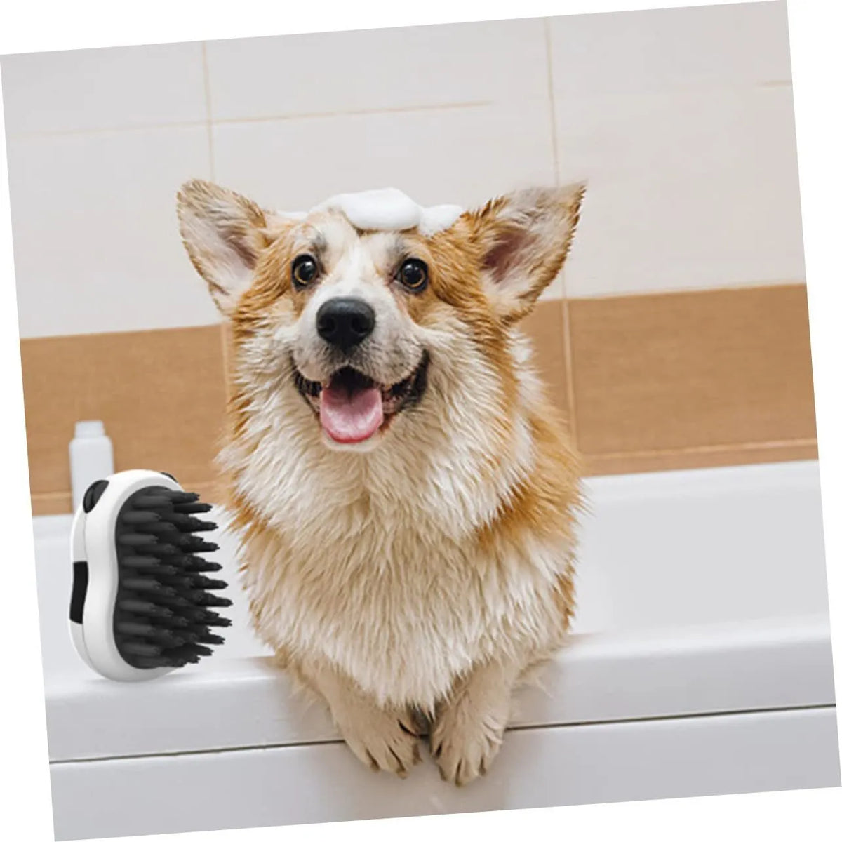 Black and white pet bath brush and grooming comb for cats, dogs, and puppies, plastic hair removal and cleaning tool.