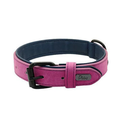 Adjustable anti-loss dog collar showing double-layer thickening construction in multiple colour options