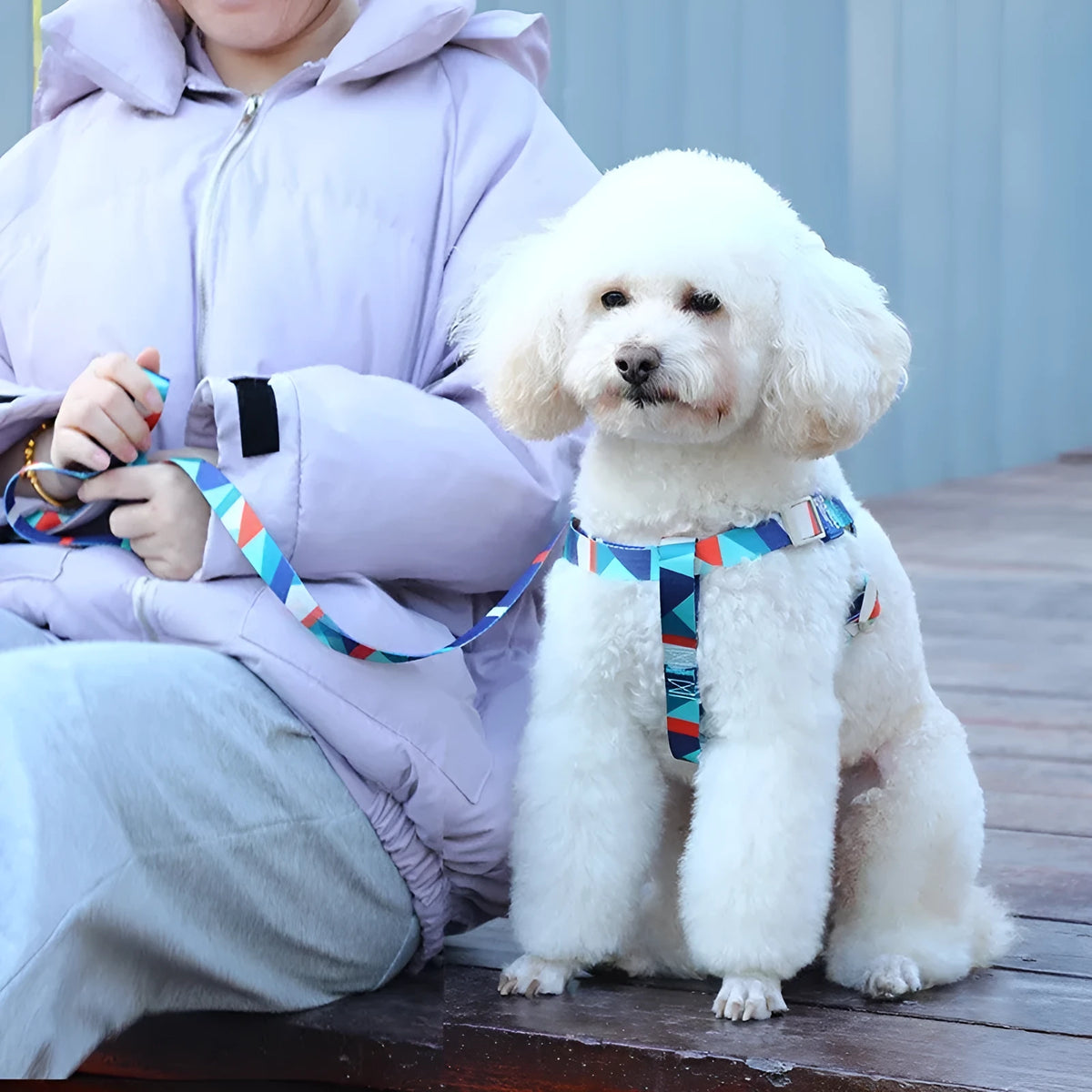 Polyester dog haulage vest with matching lead rope in blue, pink or green