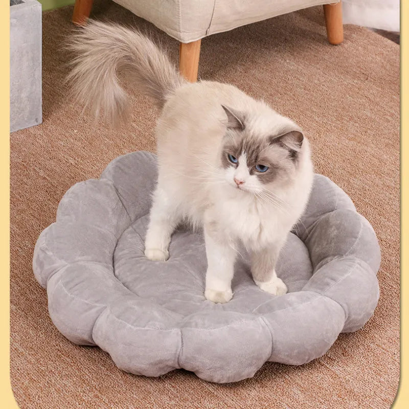 Blue half-surrounded square plush pet bed for dogs and cats on a wooden floor