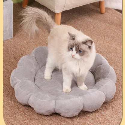 Blue half-surrounded square plush pet bed for dogs and cats on a wooden floor