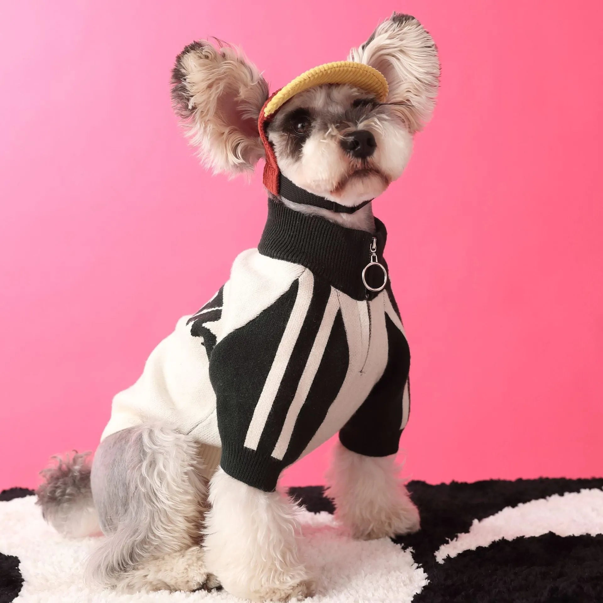 Red puppy dog sports sweater cardigan made from wool material for pet wear