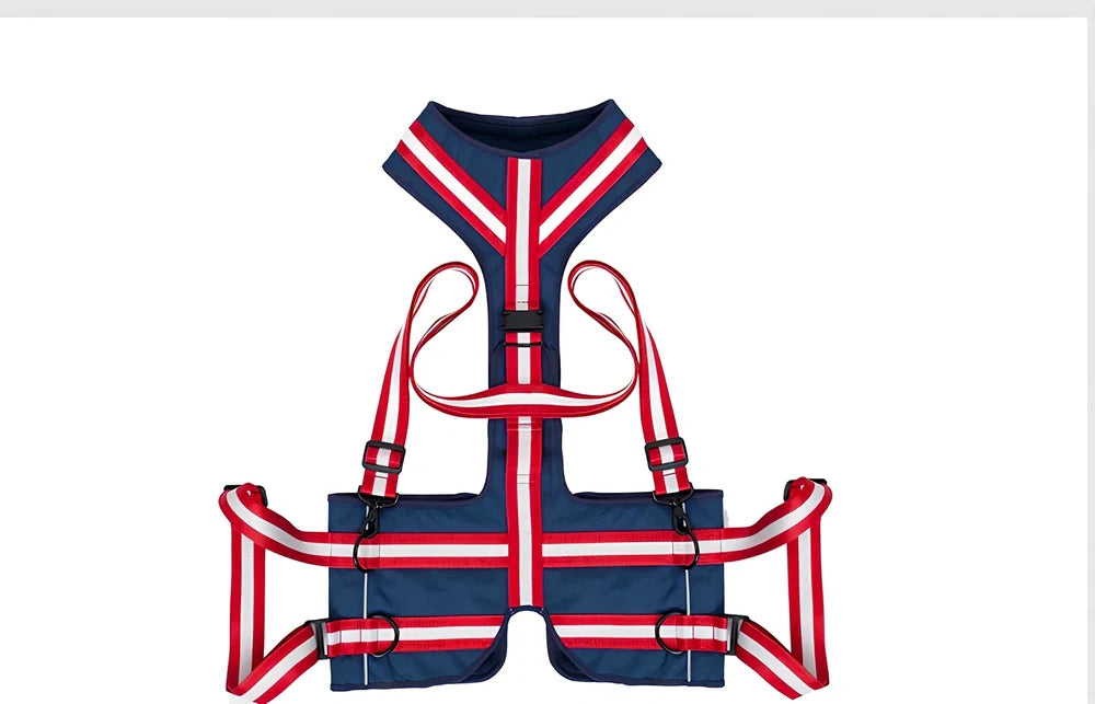 Blue nylon dog harness with adjustable straps and quick-release buckles for elderly pets