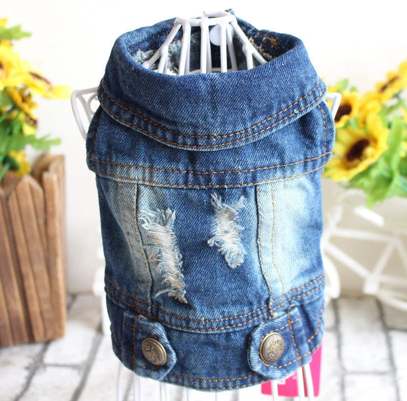Stylish denim dog jacket with customizable options like hoods, fringes, and patterns for fashionable pet wear