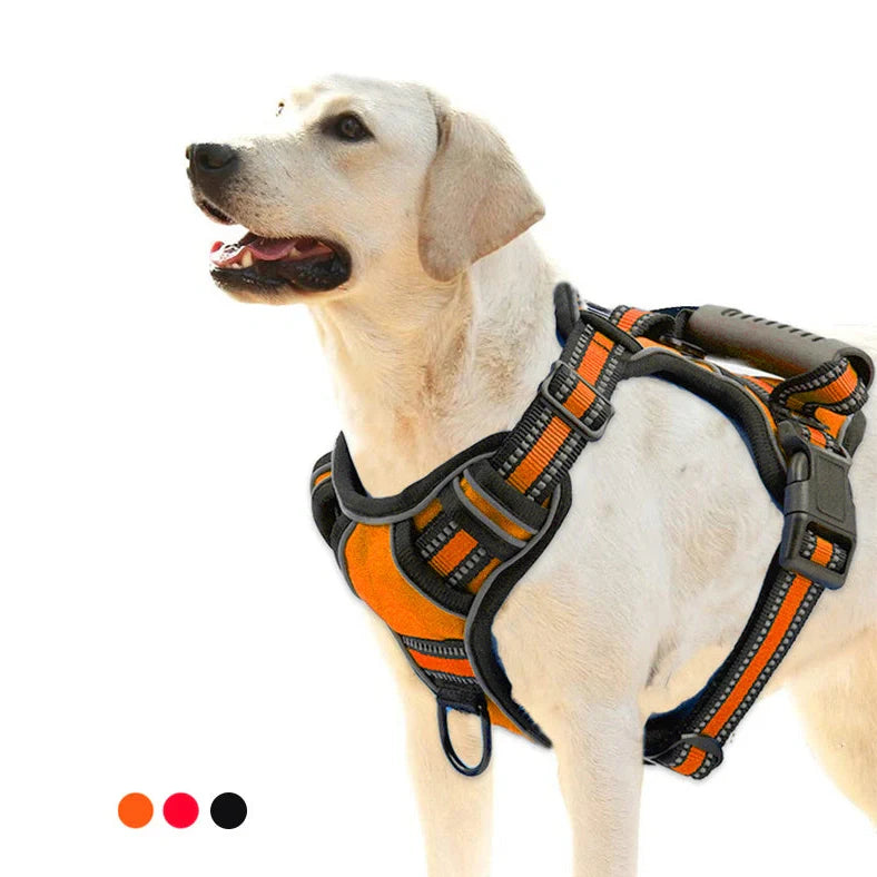 Dog harness with reflective elements and adjustable chest strap in black, red, or fluorescent orange