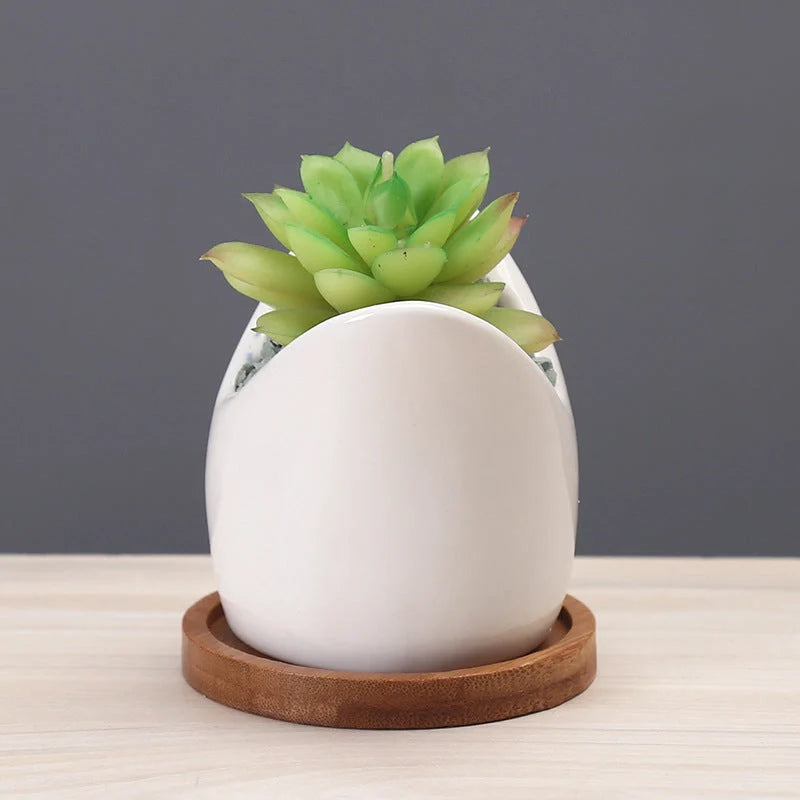 Creative cartoon ceramic succulent pot with drainage hole for healthy plants