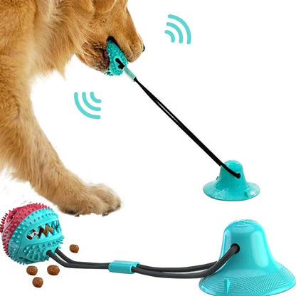 Red and blue silicone dog ball toy with suction cup attached to tile surface