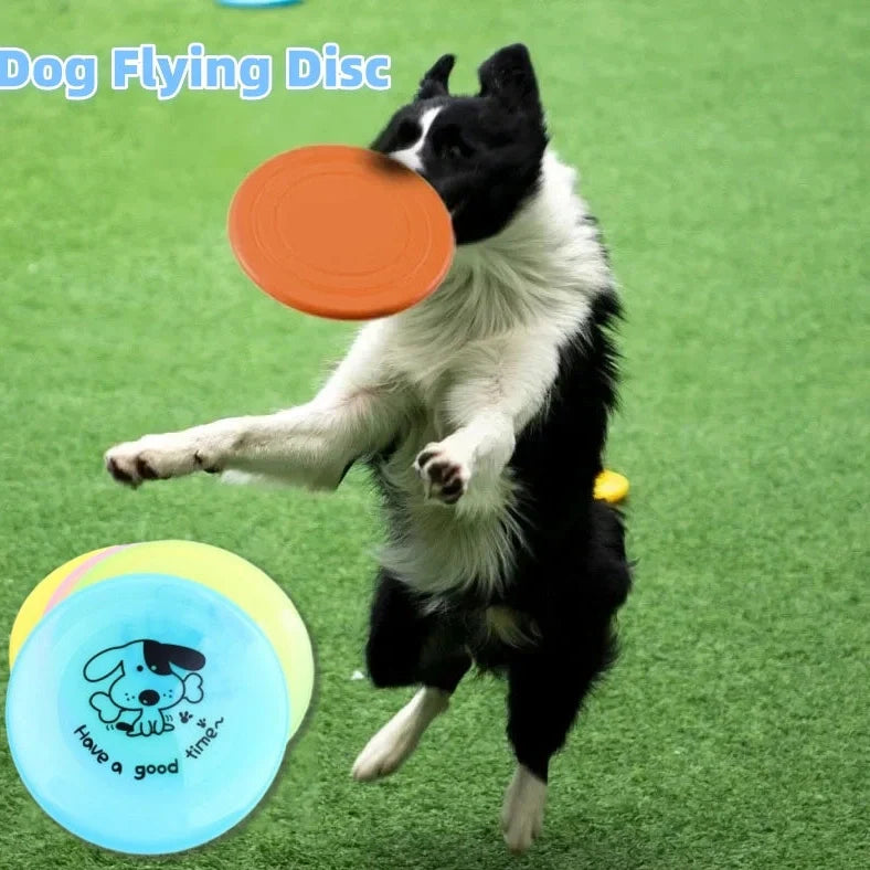 Yellow silicone flying saucer dog toy with 20cm diameter disc shape for canine coordination training