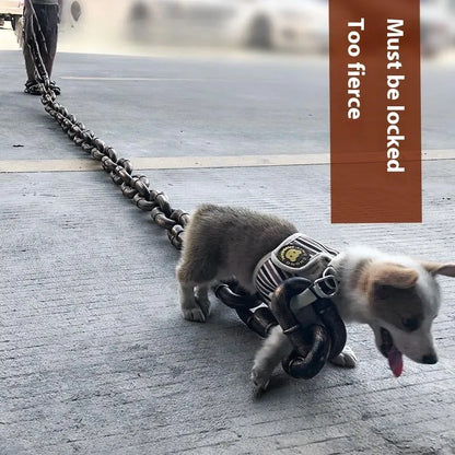 Plastic-coated iron chain dog leash in antique silver colour with D-ring connection