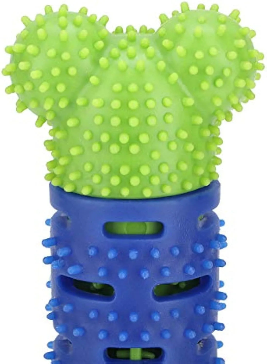 Blue Green Pet Molar Tooth Cleaner for dogs with serrated brush head and nodules, 25cm long