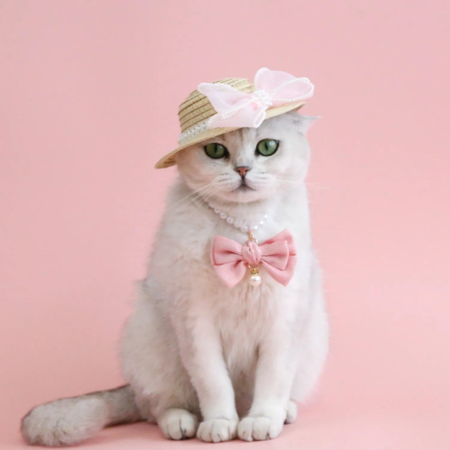 A woven Lafite leaf hat for cats with a pearl butterfly bow, shown in pink, purple, blue, and white colour options.