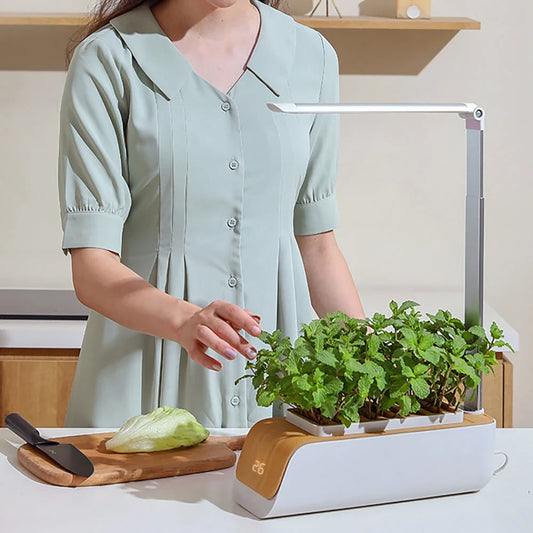 Adjustable Hydroponics Planter with Customizable Grow Lights for Indoor Garden