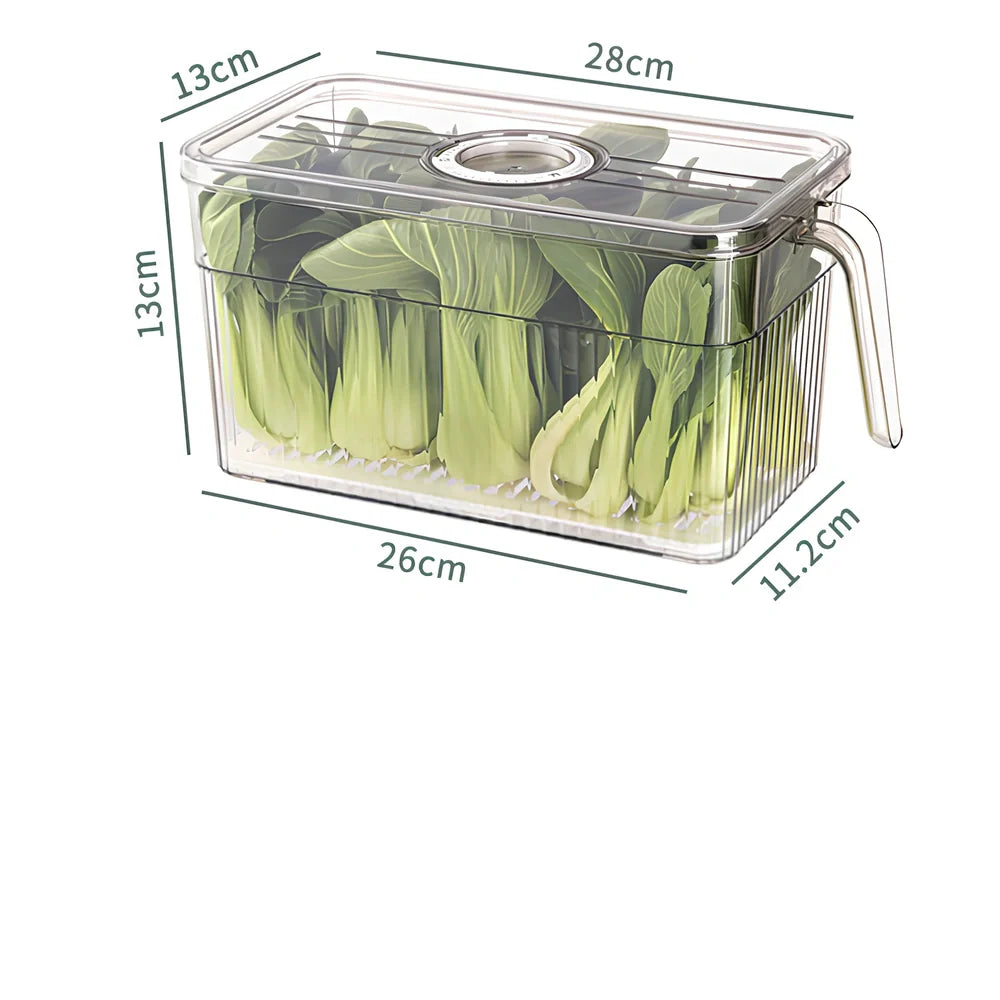 Green plastic food storage box with airtight lid for refrigerator organisation