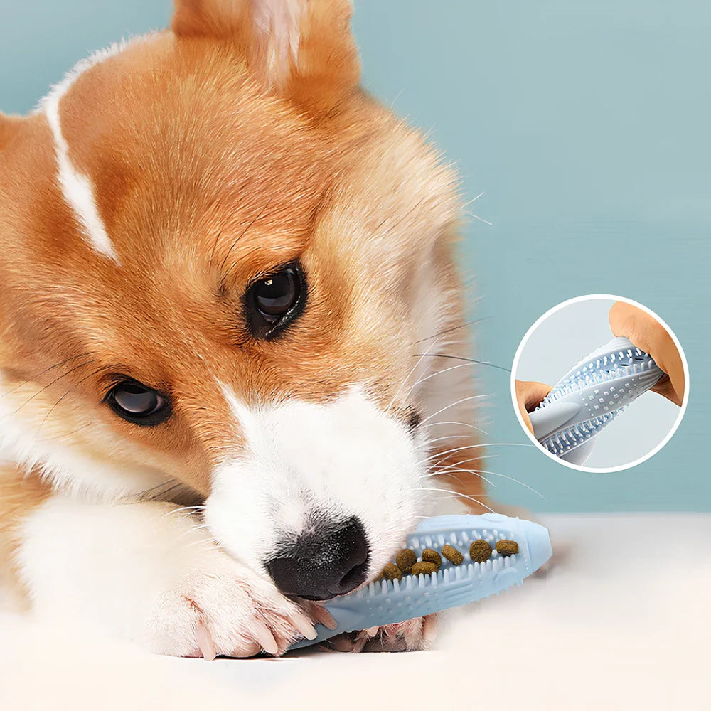 Rocket shaped dog teething stick measuring 15cm long in solid sky blue colour