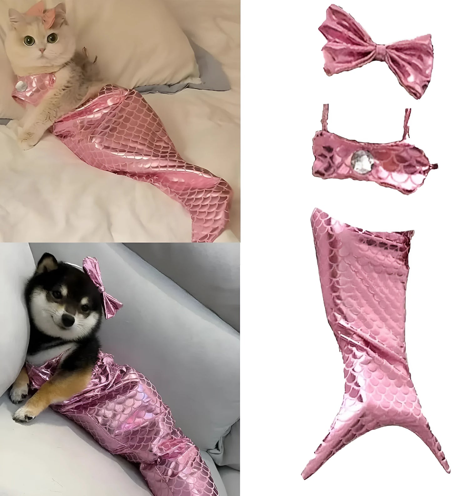 Blue pet mermaid costume with fish tail on a cat, showing scale detail and chest strap.