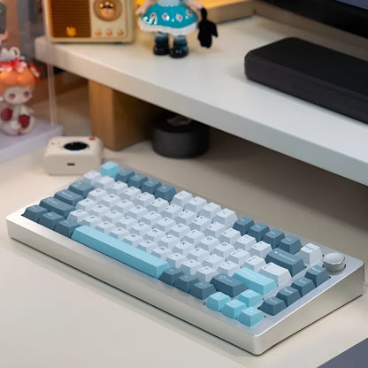 Heiji Snake aluminium mechanical keyboard DIY kit with keycaps and tools on a desk.