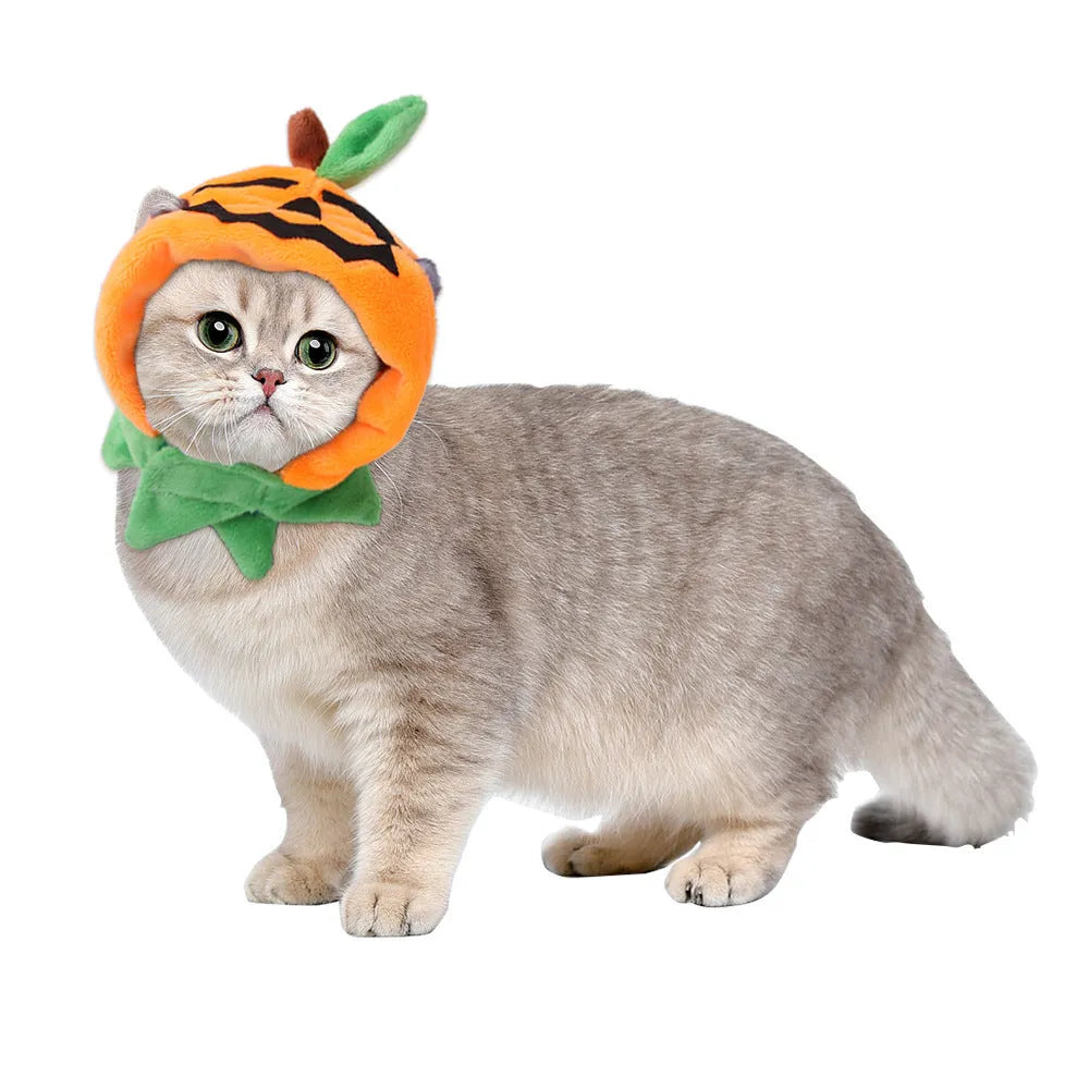 Reversible Halloween pumpkin cloak for dogs and cats in plush fabric