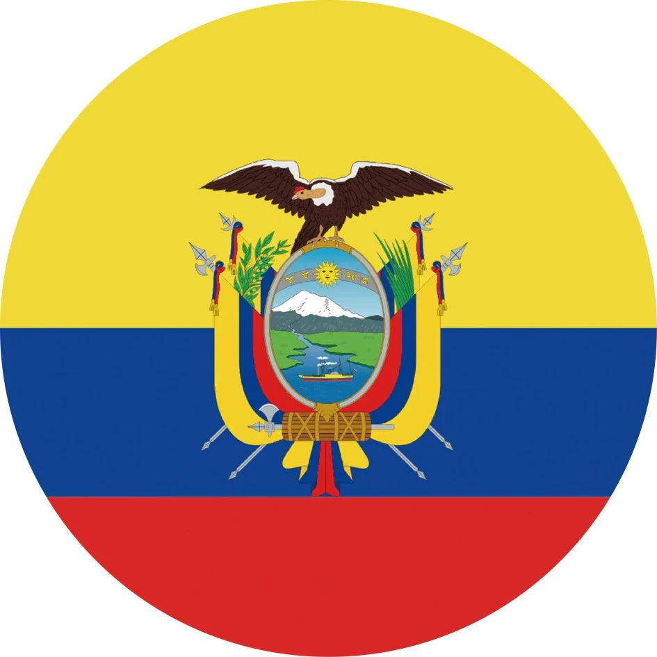 World Cup Qatar football themed biodegradable dishwashing sponges with national flag designs