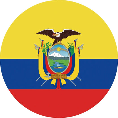 World Cup Qatar football themed biodegradable dishwashing sponges with national flag designs