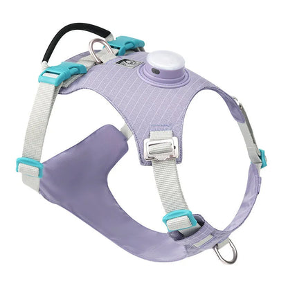 Nylon dog chest harness with LED light on a dog, shown in assorted colours including light purple, green, and black.