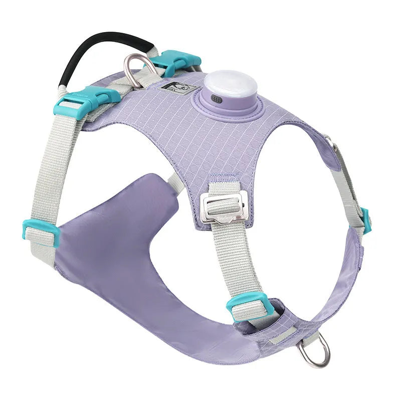 Dog chest harness for large dog walking with LED outdoor night safety light available in light purple, green, black, orange, white, and blue colours made from durable nylon fabric in sizes XS, S, M, L, and XL for secure pet control and visibility