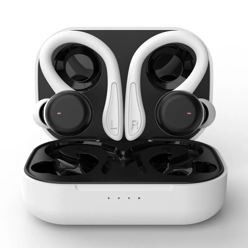 Sports true wireless hanging ear earphones in black, with removable ear hooks and multiple silicone earbuds.